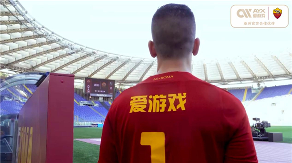 职业生涯至